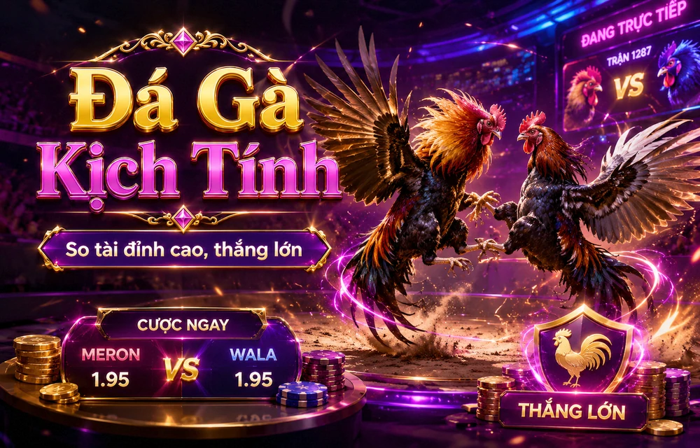 Hình minh họa bài viết 69VN