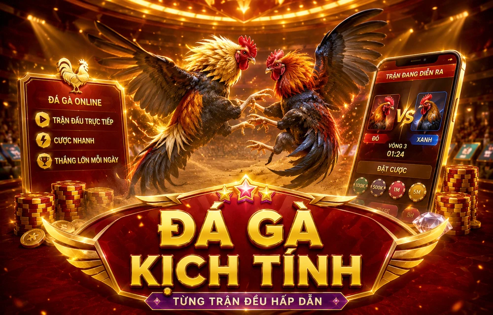 Hình minh họa bài viết 69VN